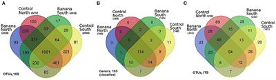 Rhizosphere 16S-ITS Metabarcoding Profiles in Banana Crops Are Affected by Nematodes, Cultivation, and Local Climatic Variations